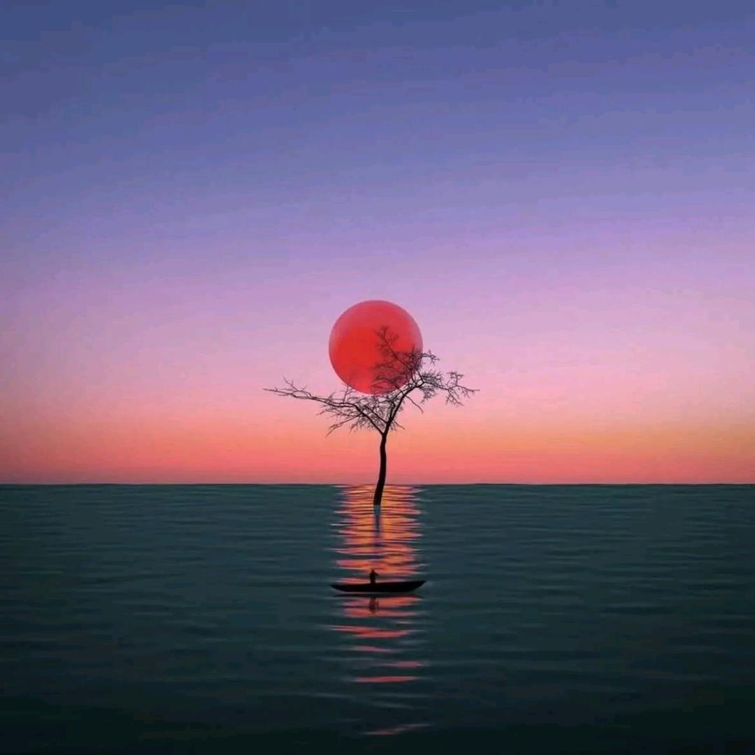 科普本草