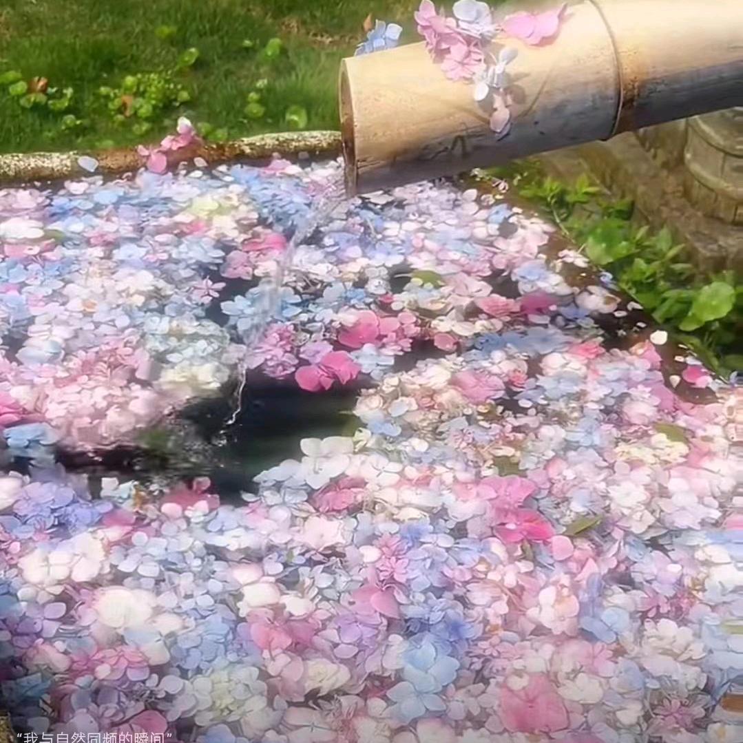 四港村三组加工饲料