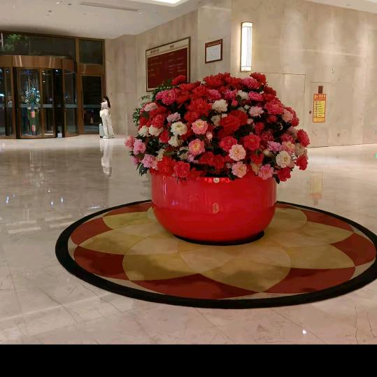 💋潇潇洒洒💋