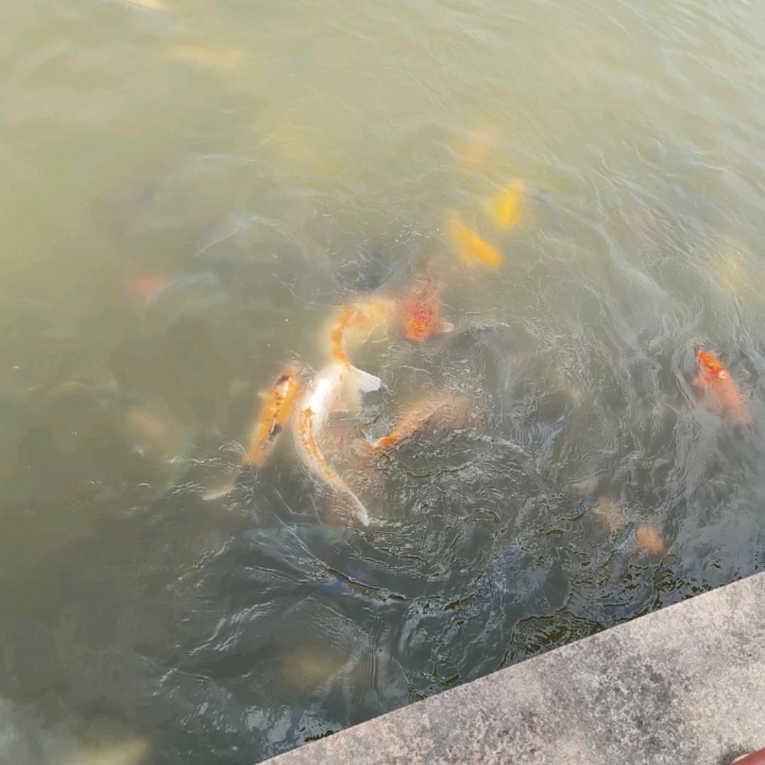 顺其自然