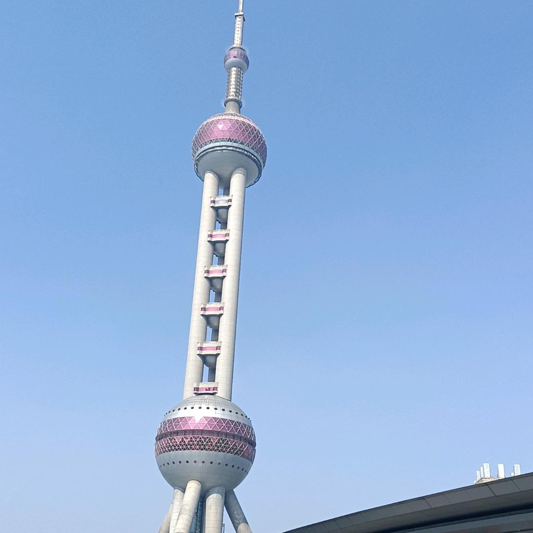 《苏哥》