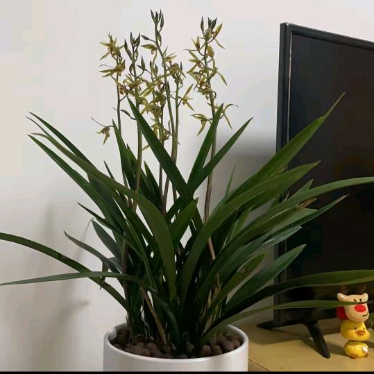 我刘伟