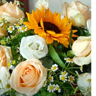 ❤️🌸花花🌸❤️