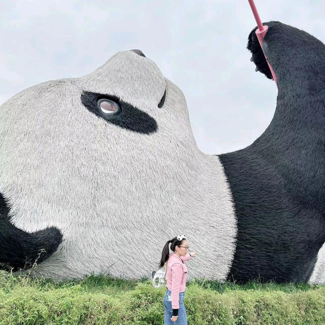 晴宝好物