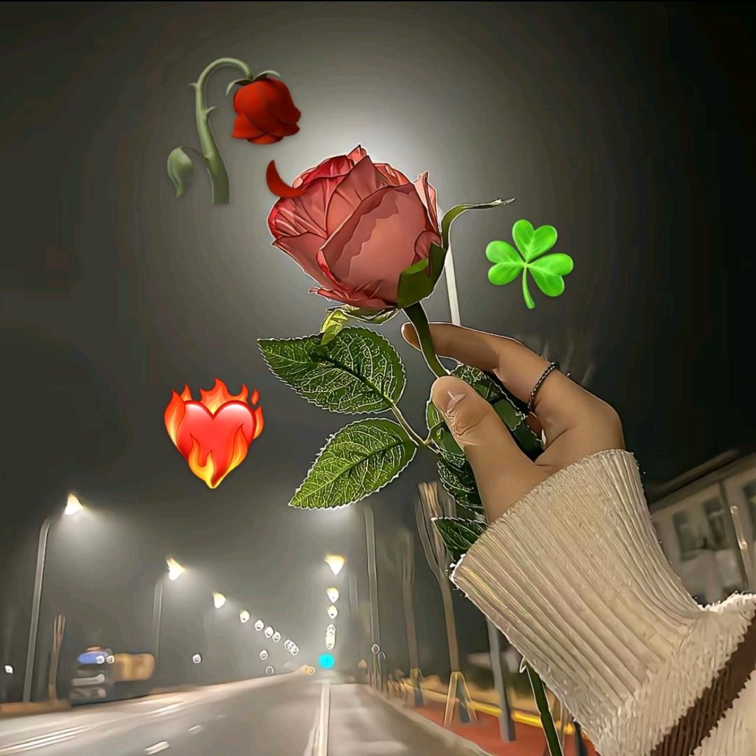 格Q拉姆🌱
