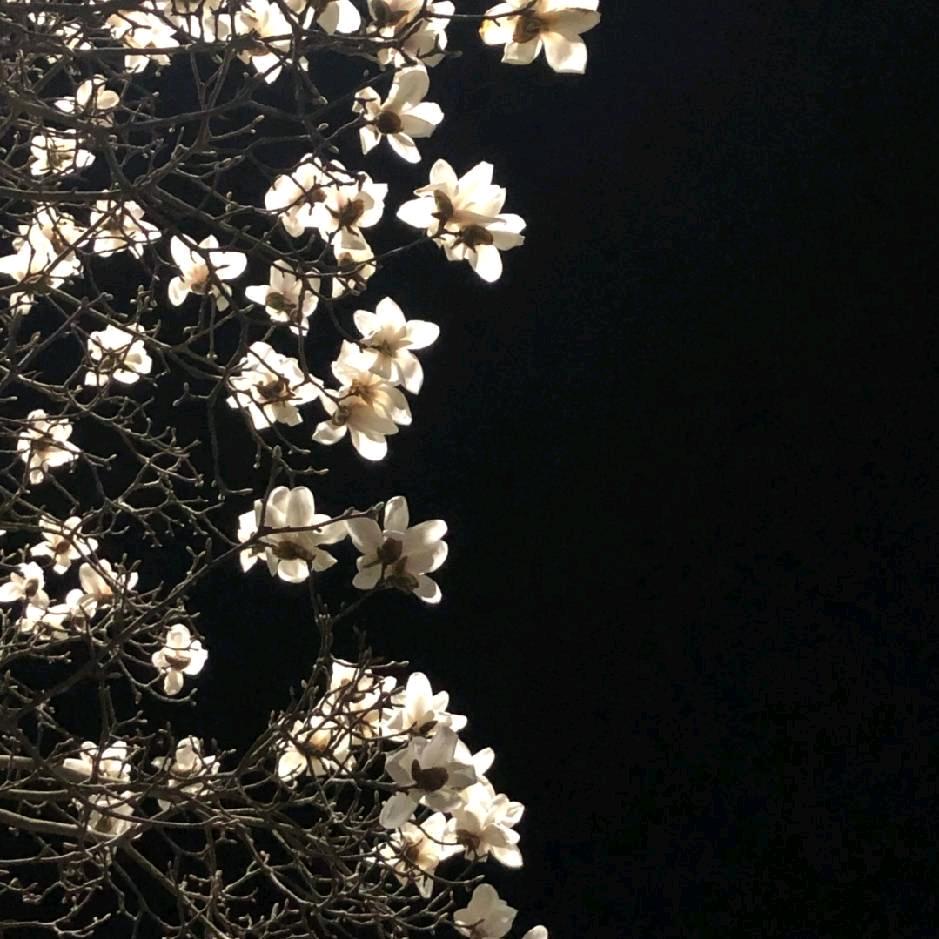 讨心寒