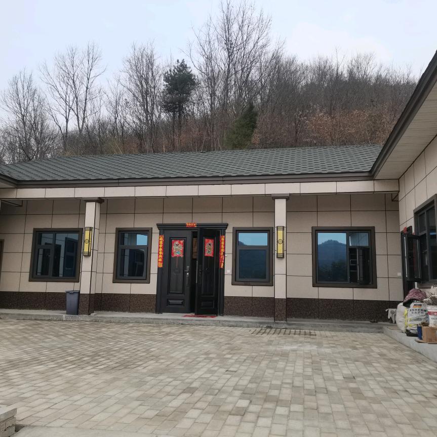 董家河大岭茶叶（信阳毛尖）