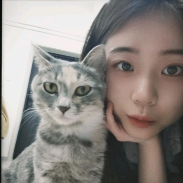 来福来喽