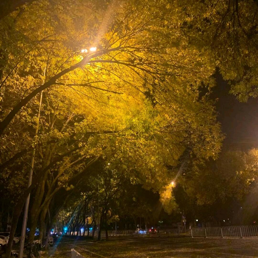 纸短情长
