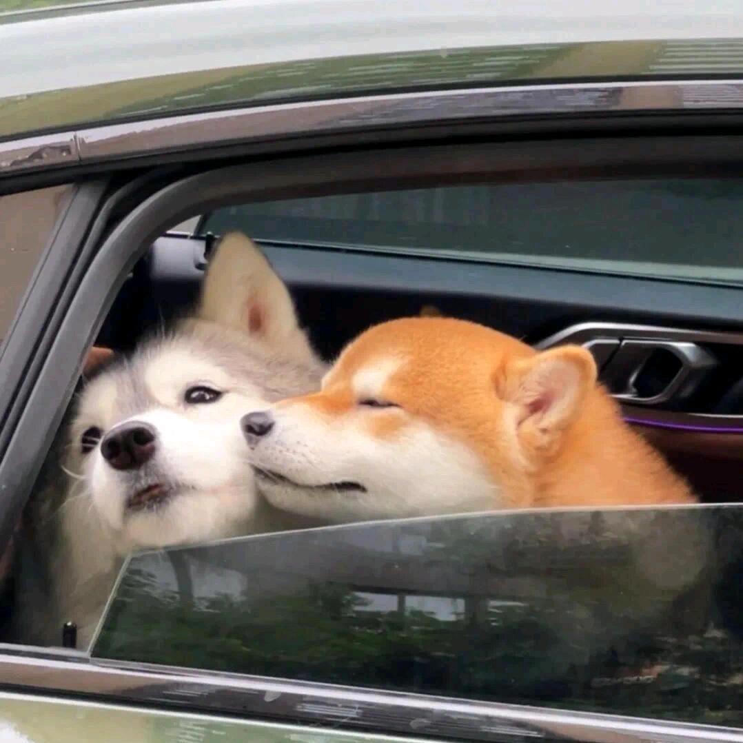 幸福来临板郑先生！