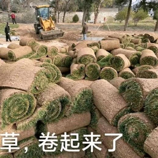 晨星（三角洲行动）