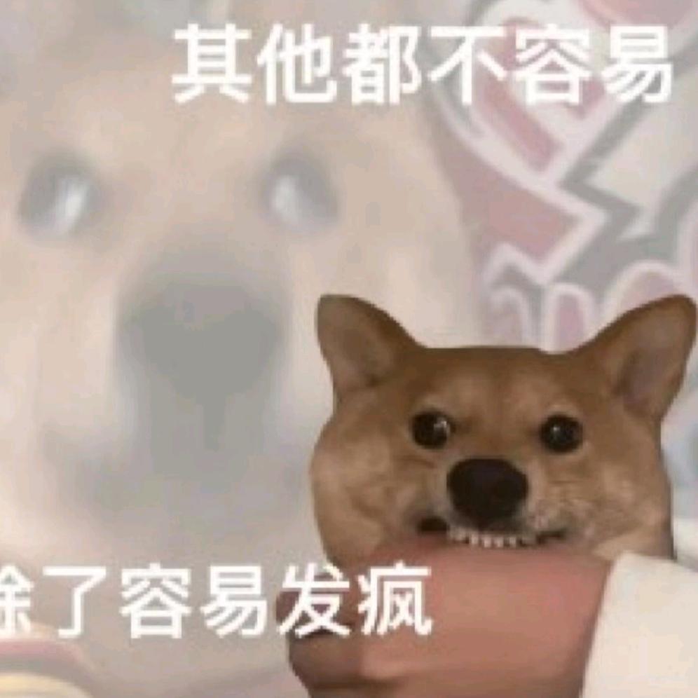 小鸳鸯
