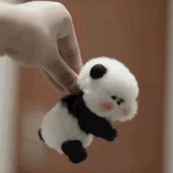 橘蛋蛋ovo