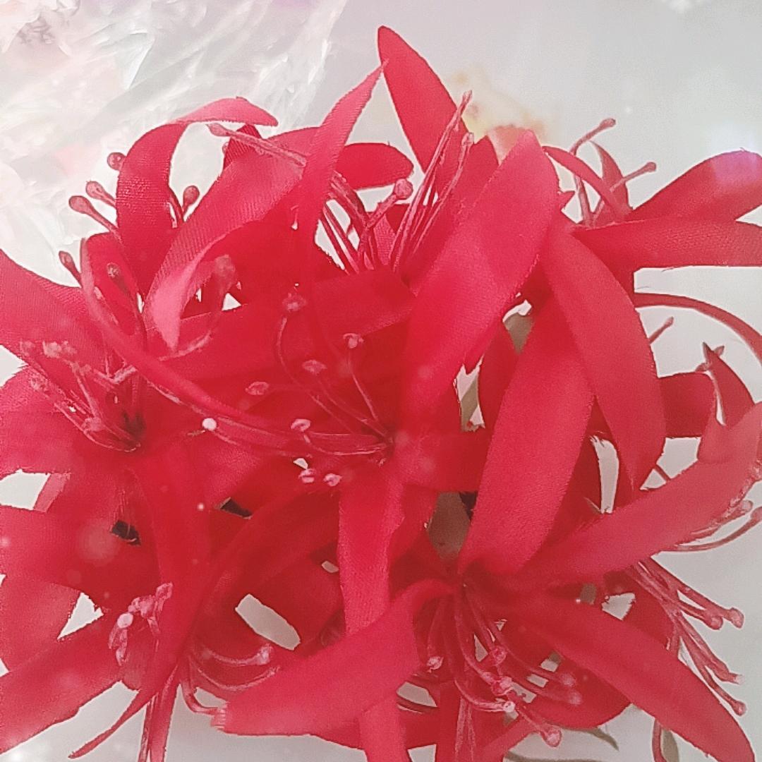小罗姐