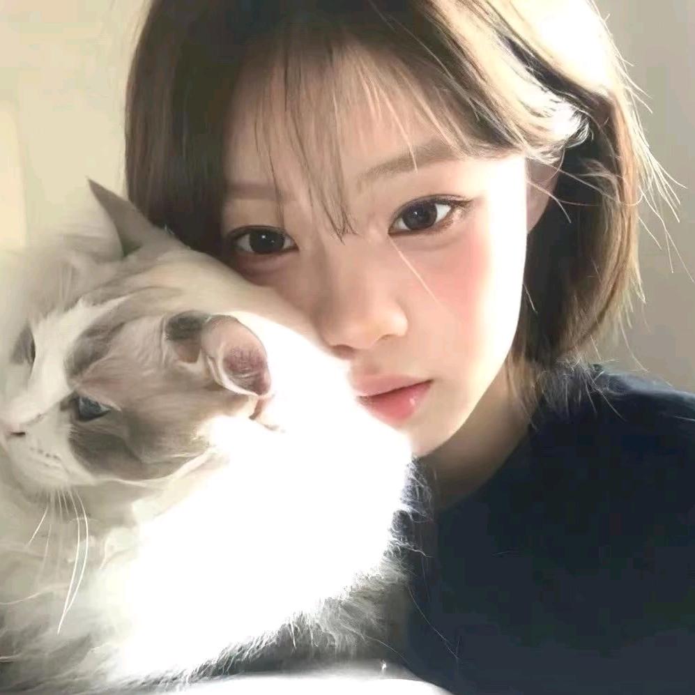 爱睡觉的咪咪