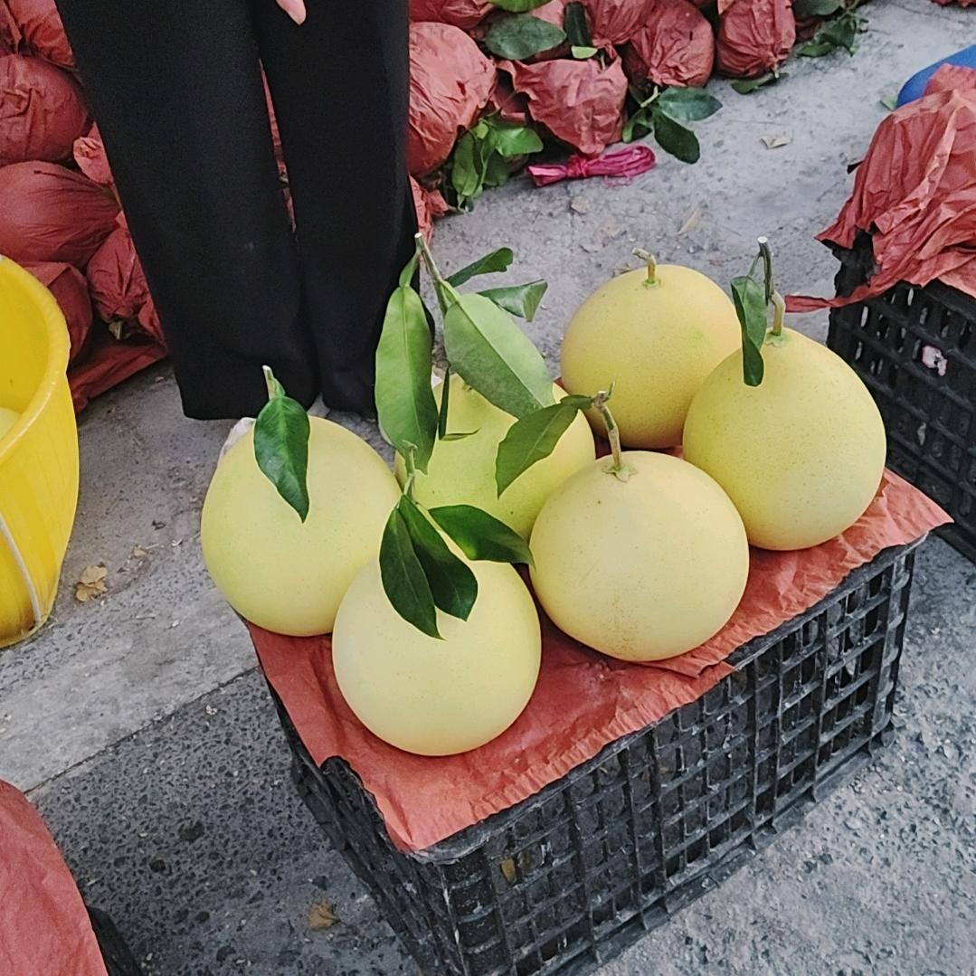 麻阳德哥卖麻阳橙子