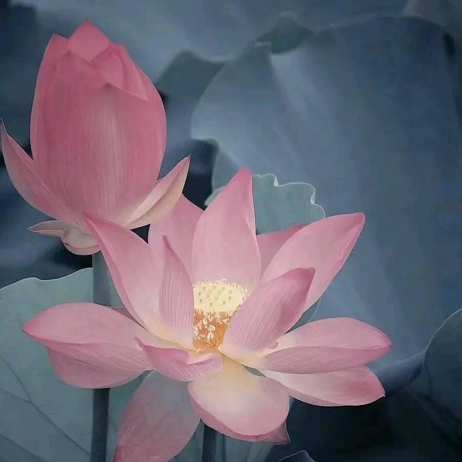 你是我最熟悉的陌生人