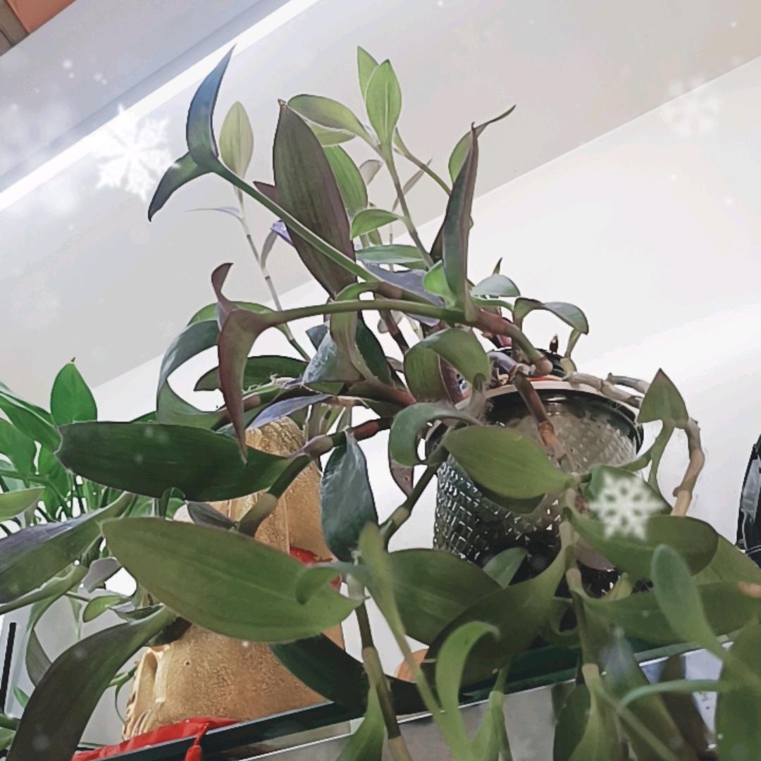 惠
