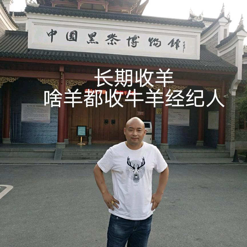 平顶山楼马羊哥