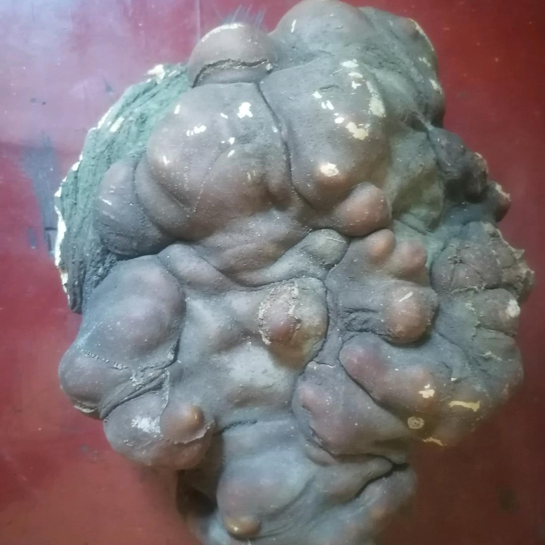 岁月无声！！！！