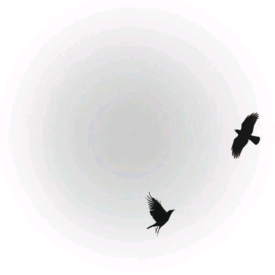 明天一定有太阳