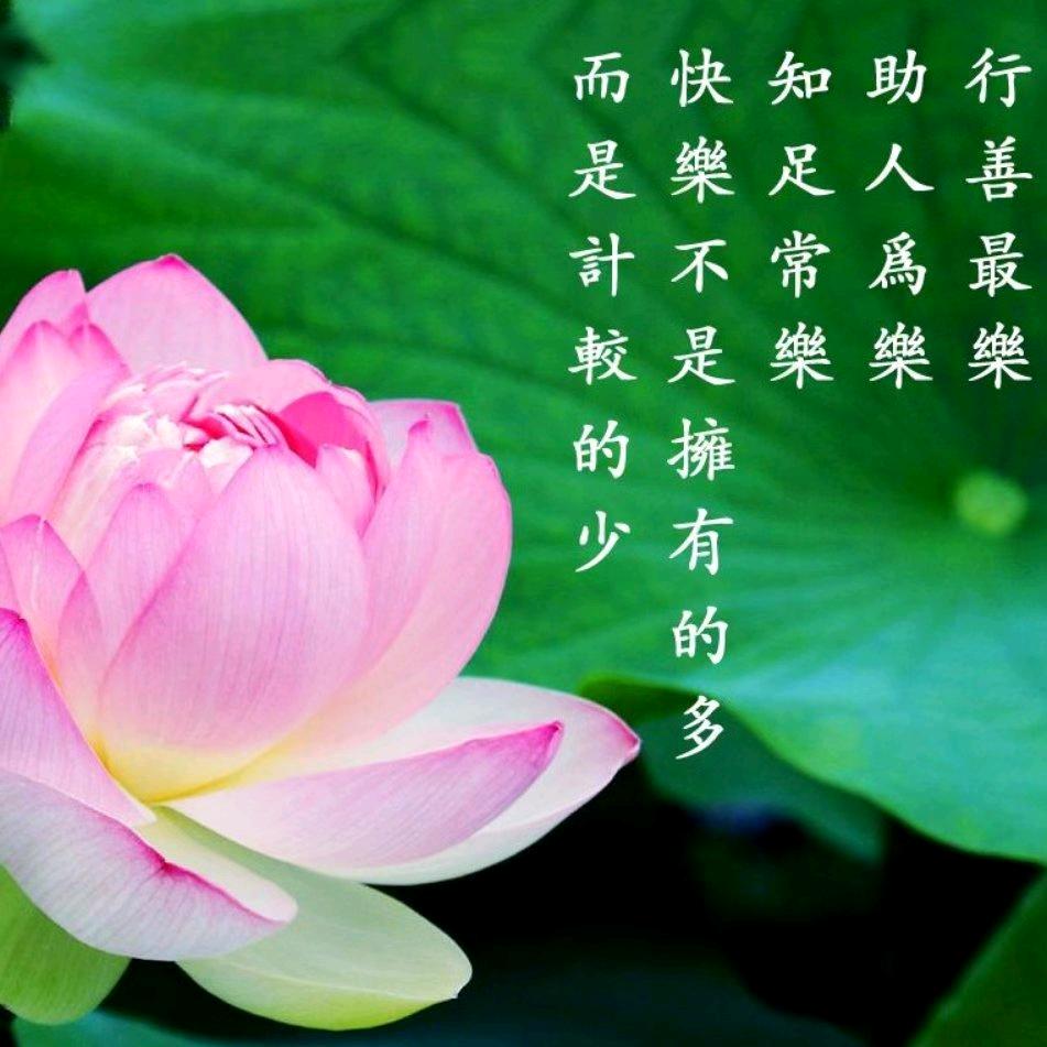 心若莲花¹³¹³¹³