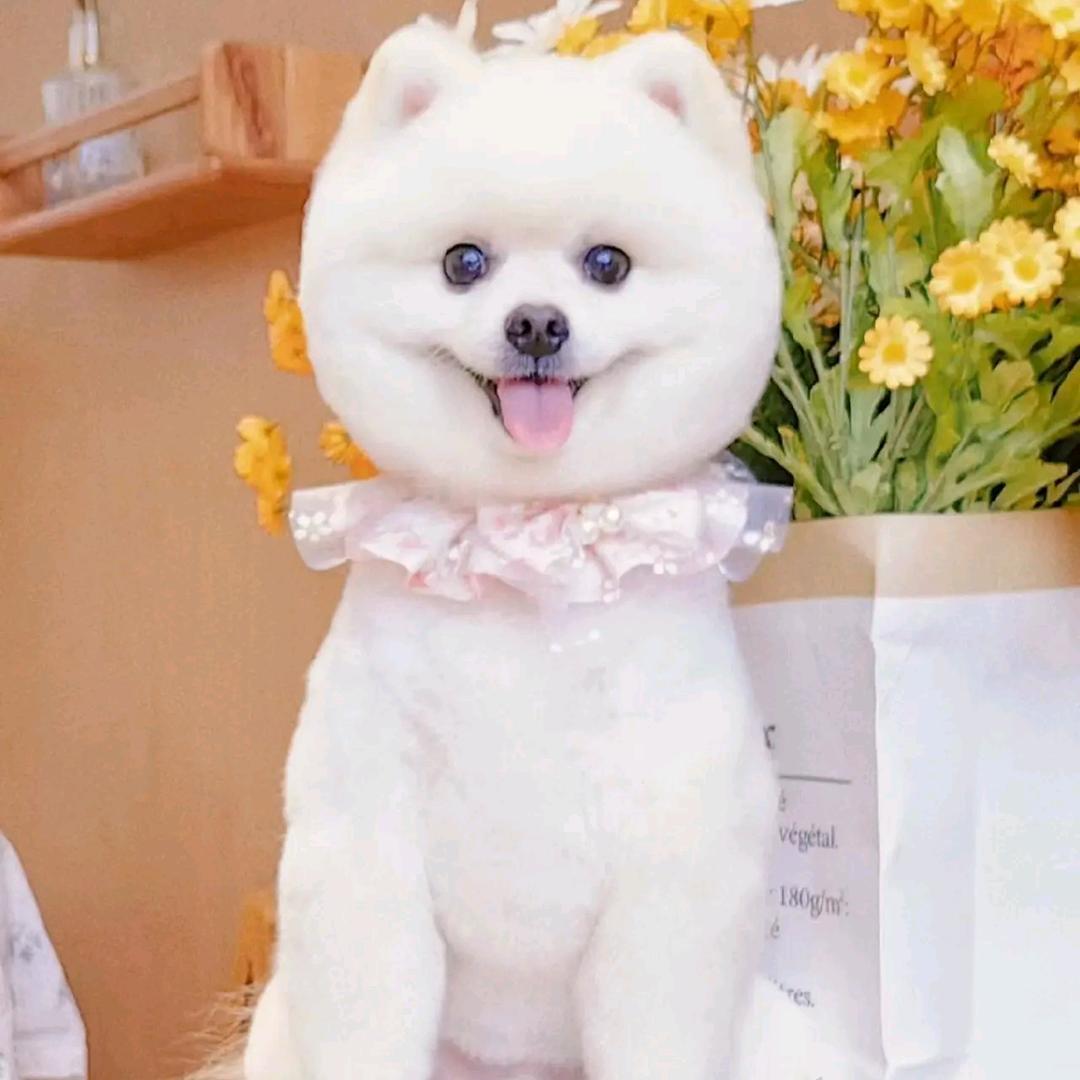 鑫亚百货店杰克
