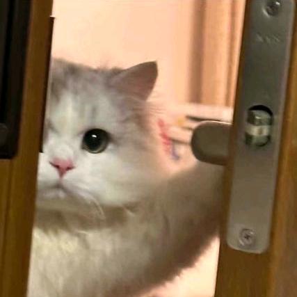 好运连连🙋‍♀️