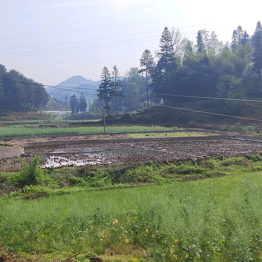 客家乡村-农家美食