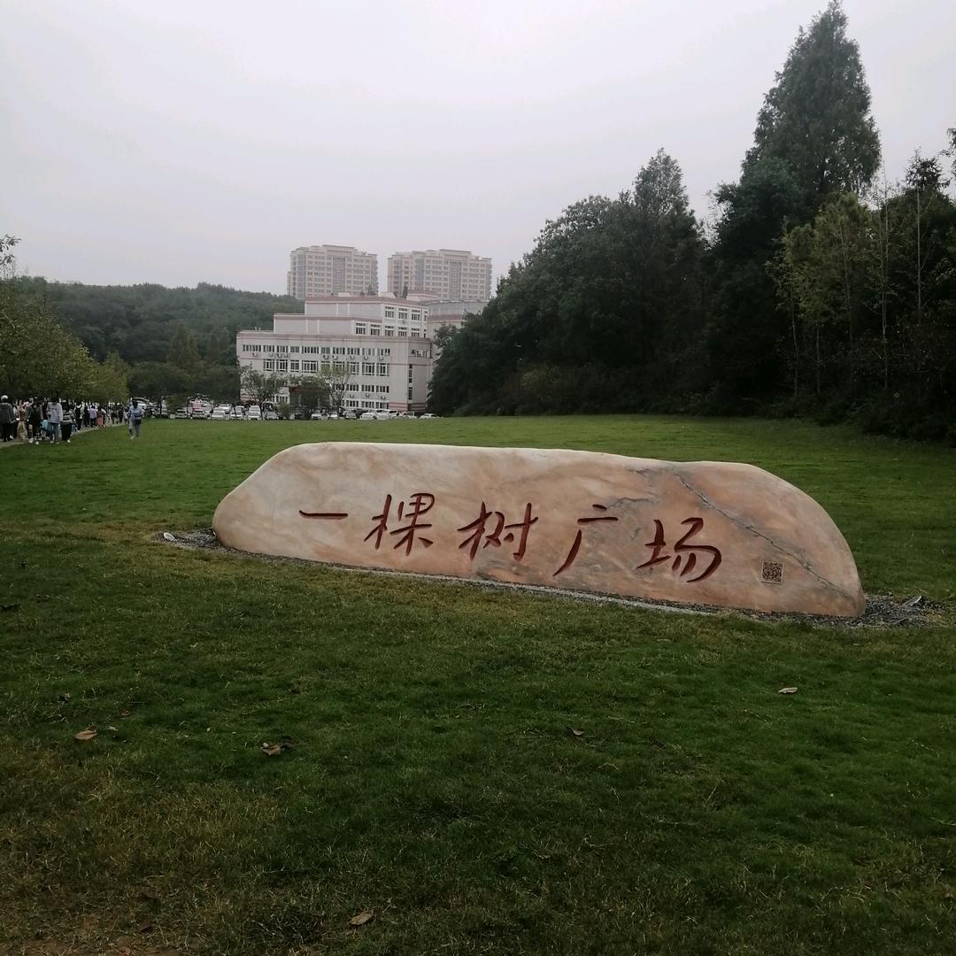 脚下的远方