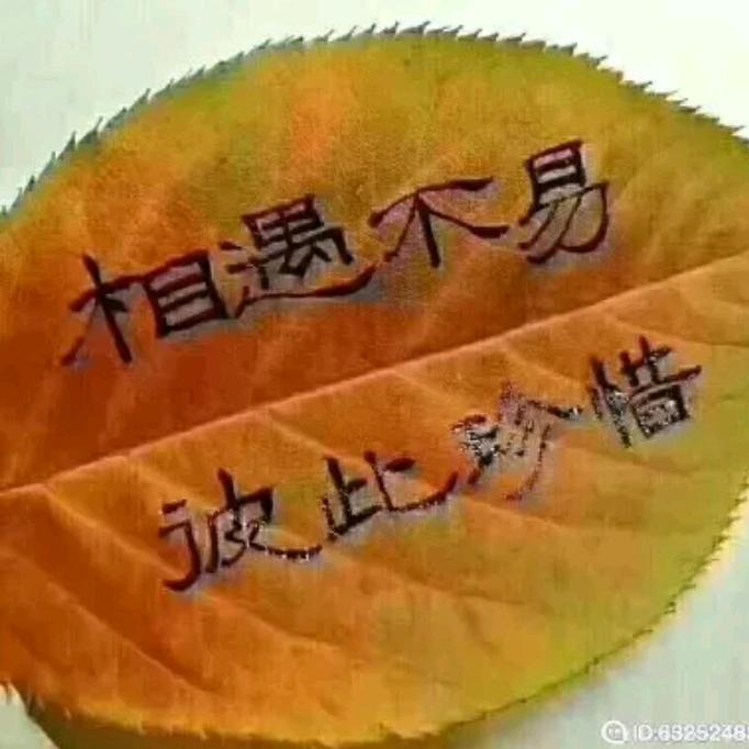 《    》