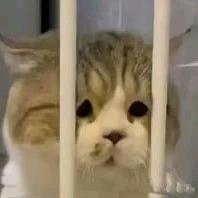 恶人谷