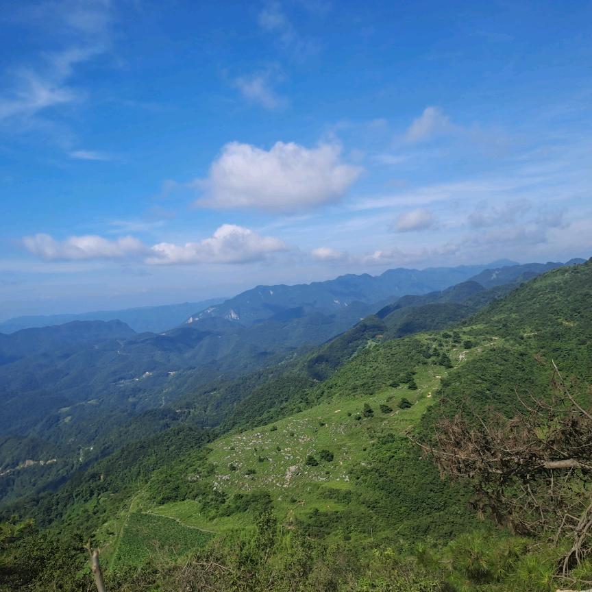 *⁂暖心向阳⁂*