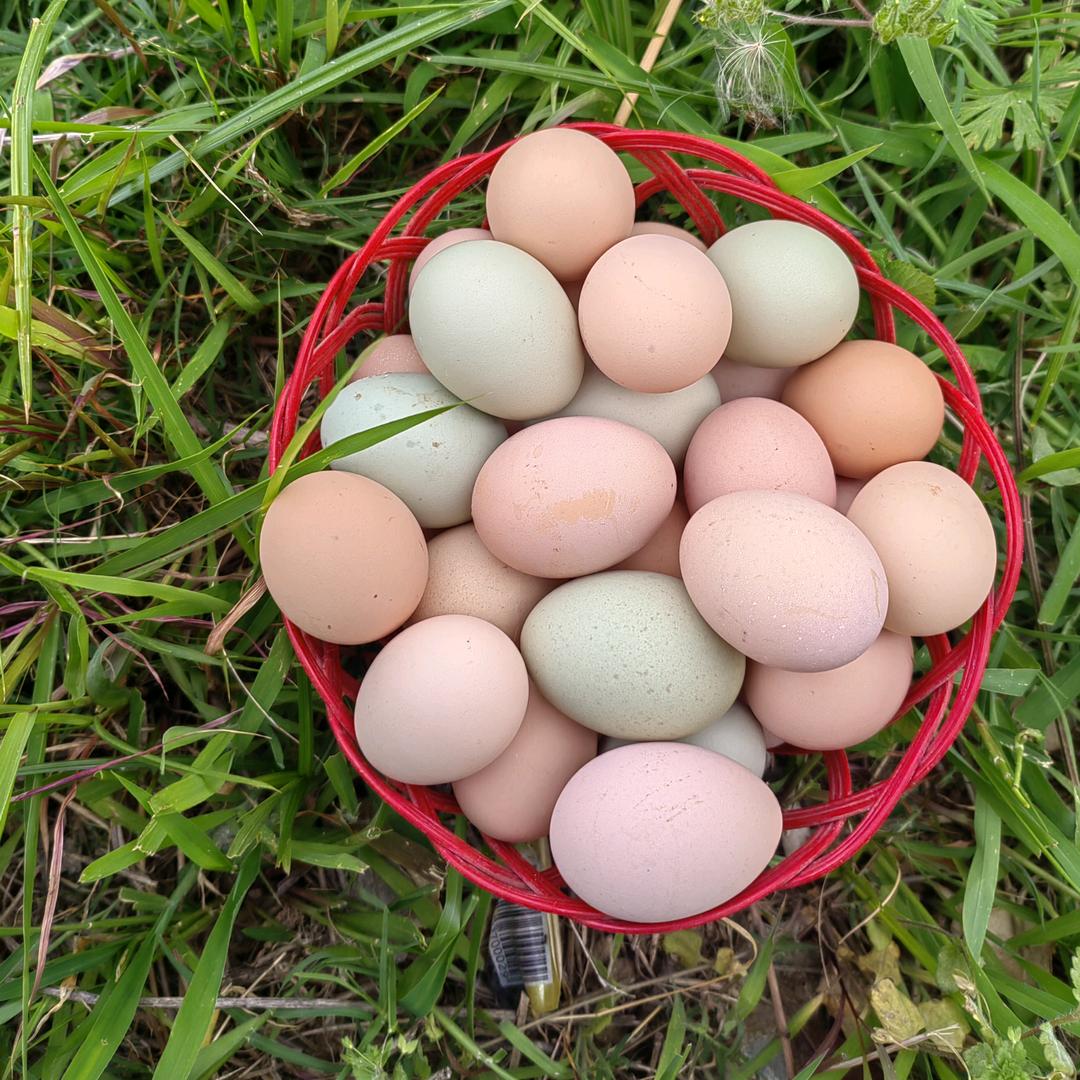 新沂维益生态农业