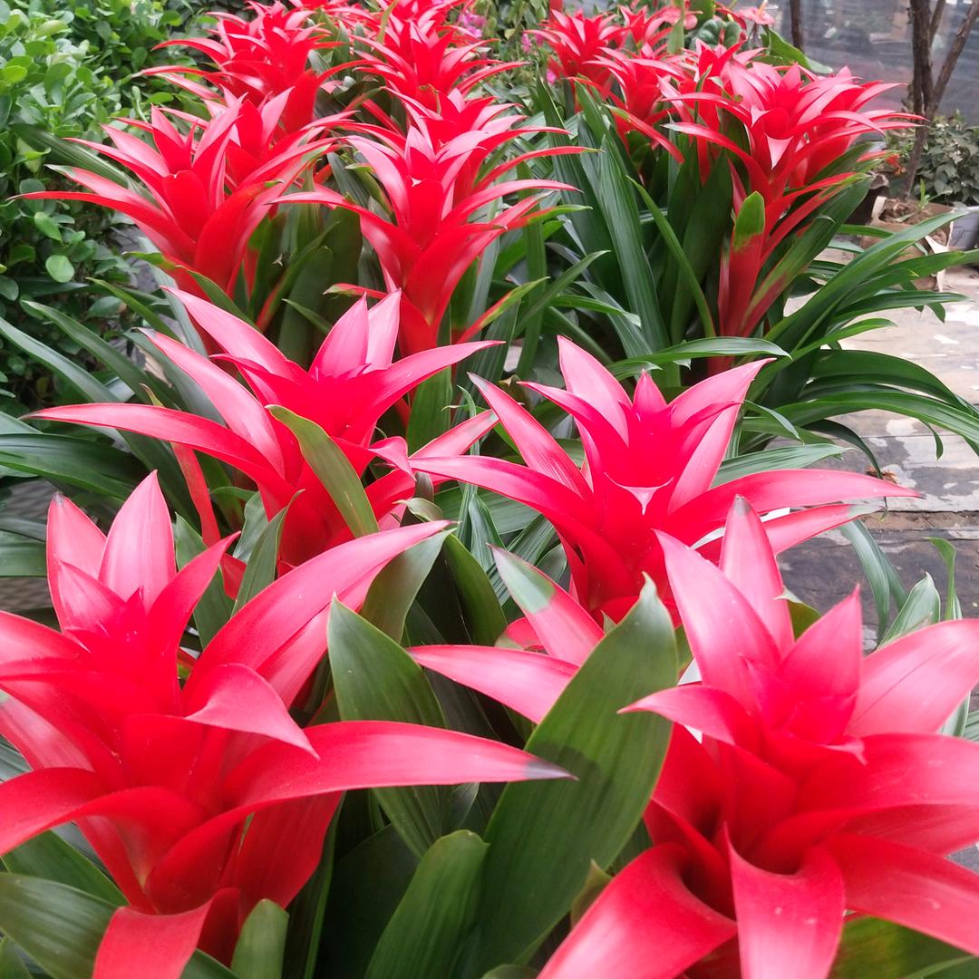 春暖花开～