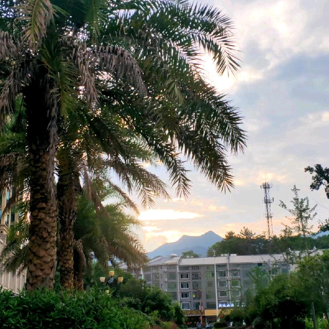 永🌴恒