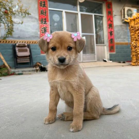 我是宇宙无敌第一大帅哥🥴