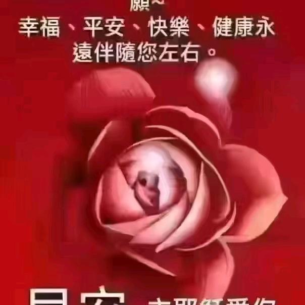 过好每一天