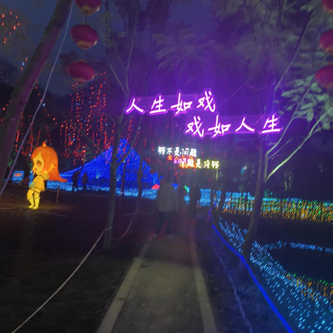 现实的社会