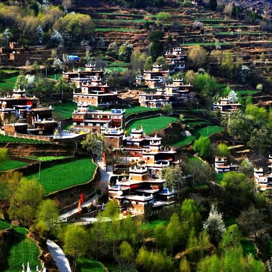 奔波霸儿，，，，