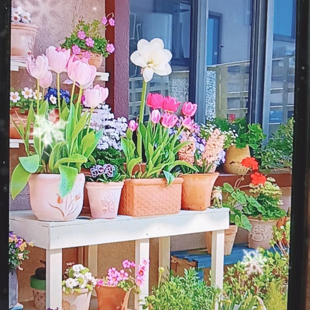 绿植小铺
