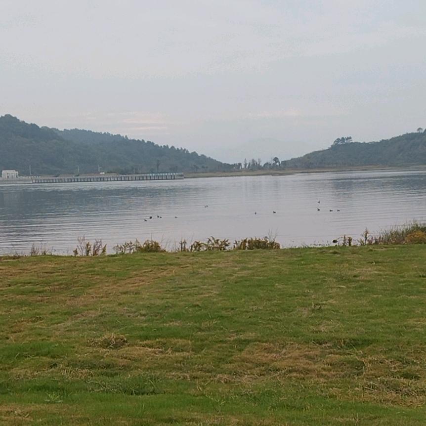 且行且看且从容