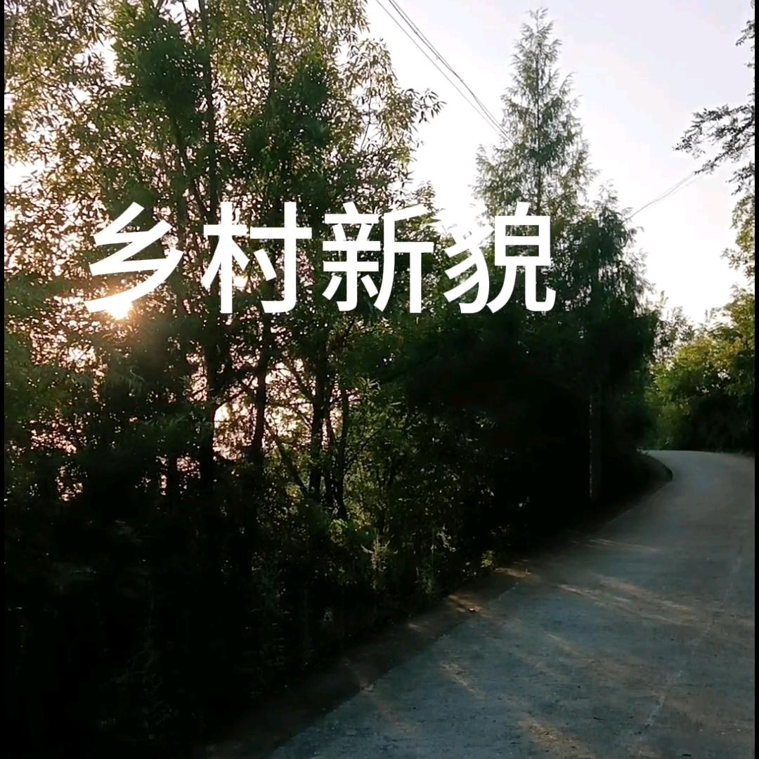 乡村新貌