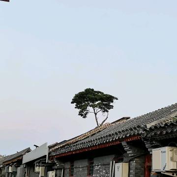 骁