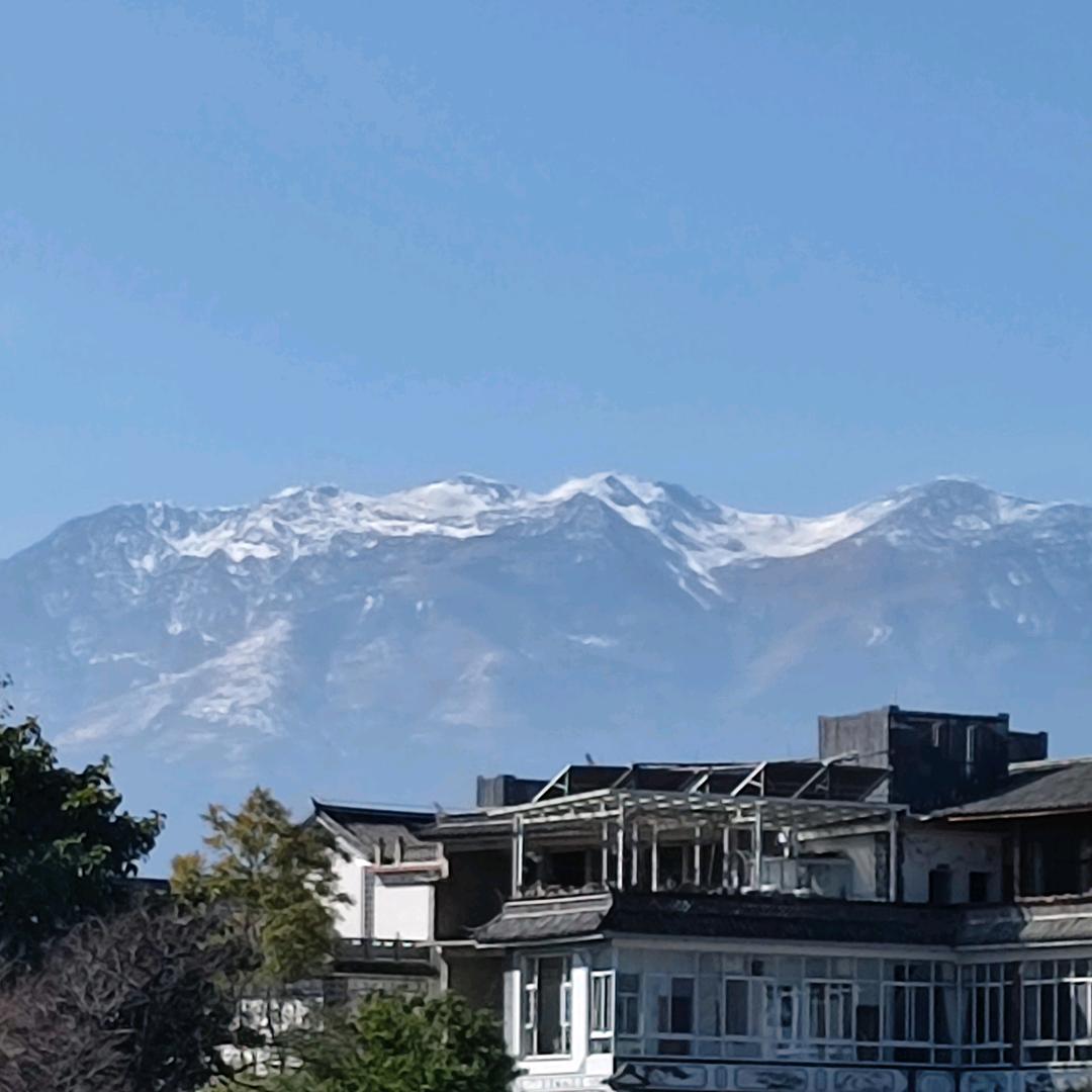 龙哥哥
