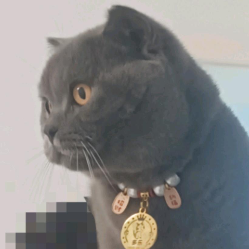 是多乐吖