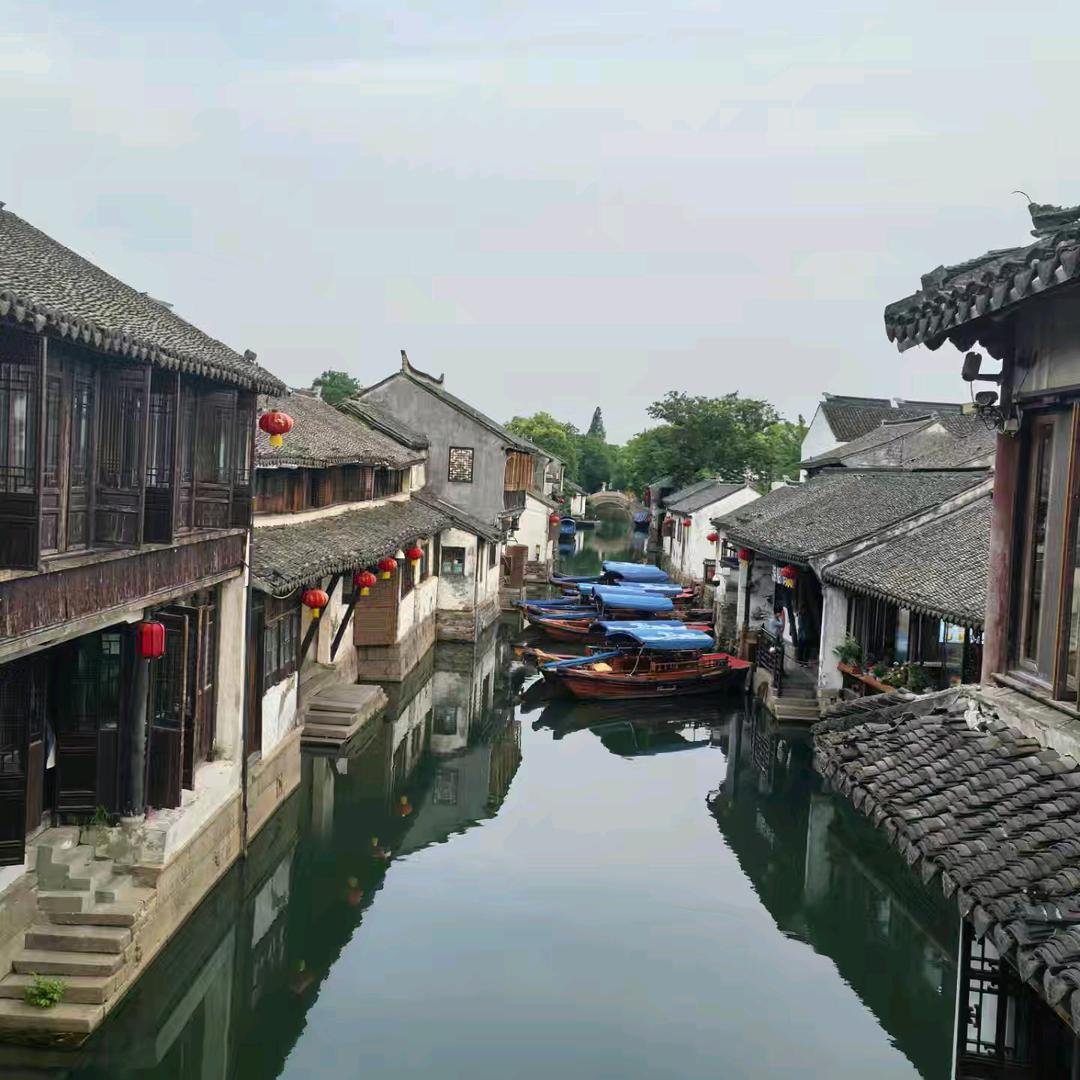 骑着蜗牛追大象