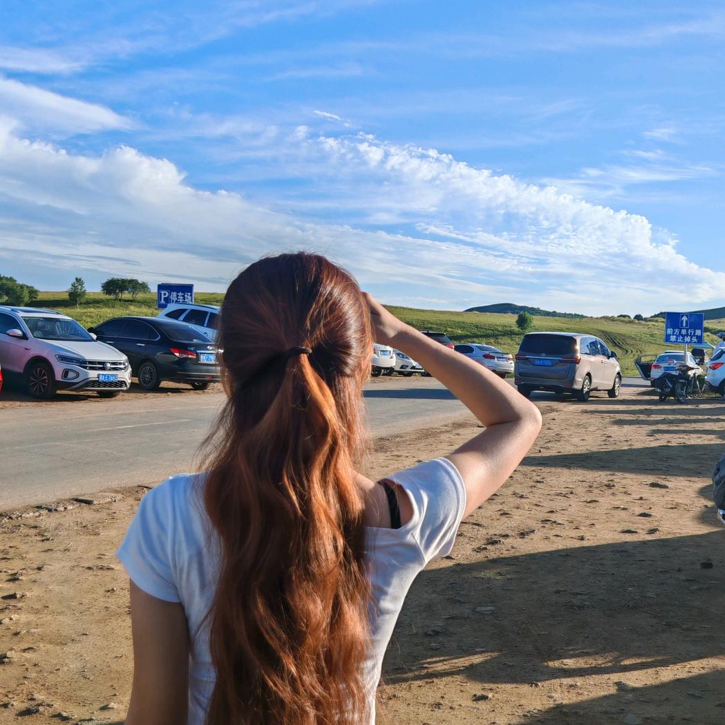 卡皮巴拉大王🍨