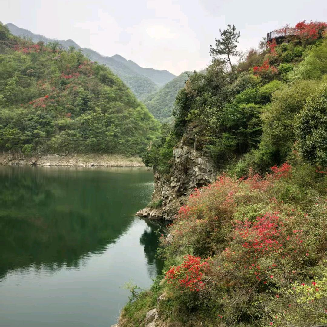 空山🦈清雨