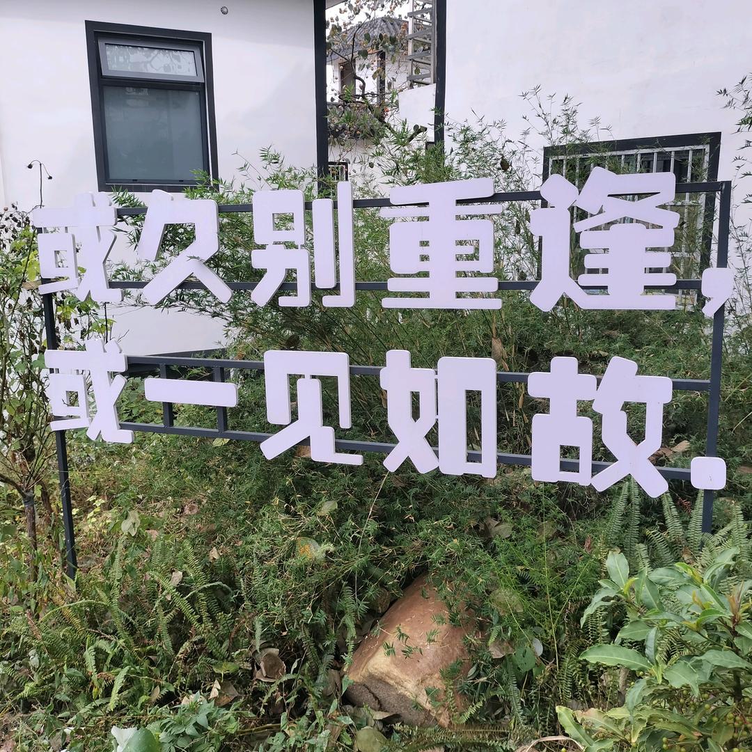 悟心